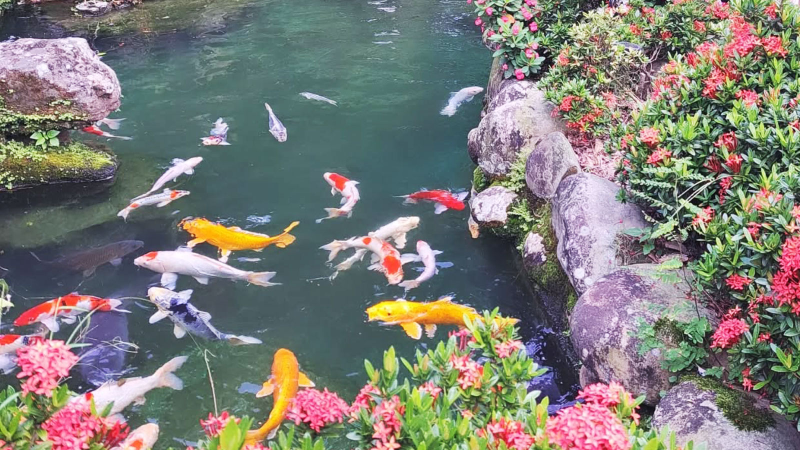 明心園民宿 圖片